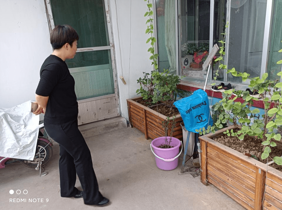 晏城街道新领导引领未来，重塑发展新篇章